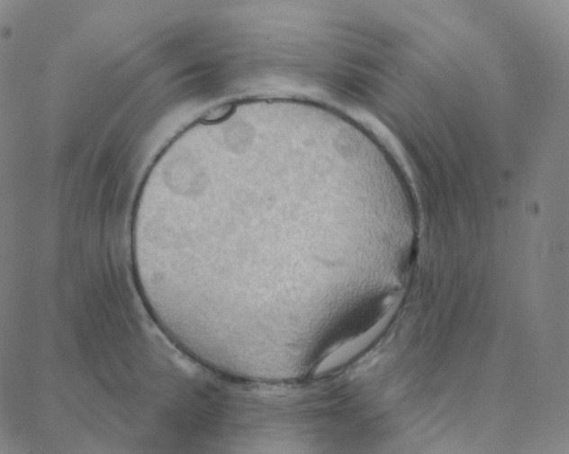 X0000088381191200706191300