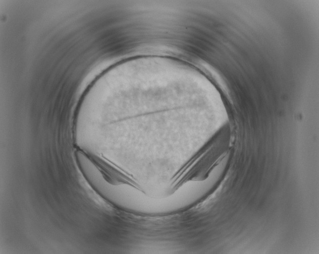 X0000088381192200706191300