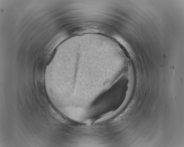 X0000088381193200706191300