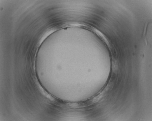 X0000088381194200706191300