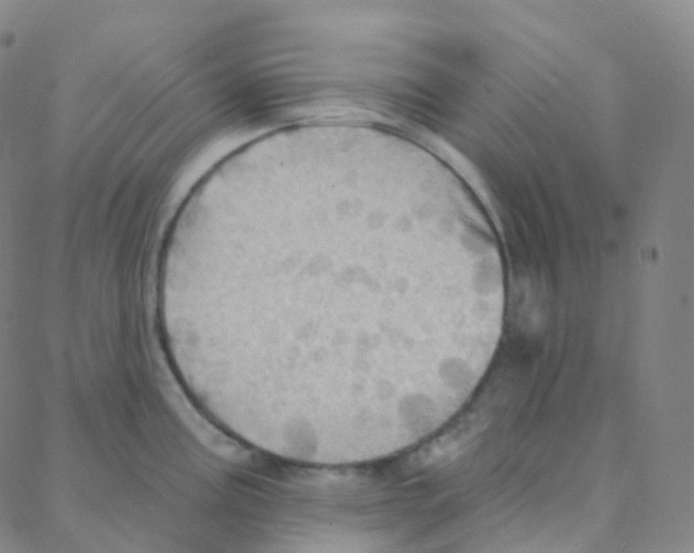 X0000088381195200706191300