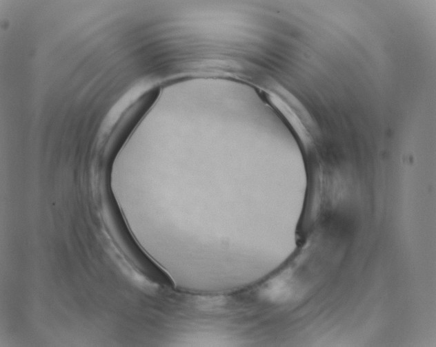 X0000088381196200706191300