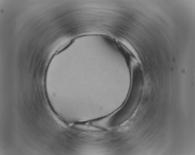 X0000088381197200706191300