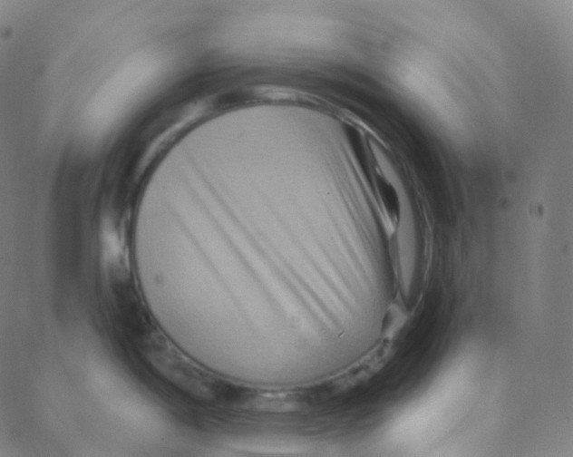 X0000088381198200706191300