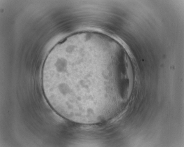 X0000088381199200706191300