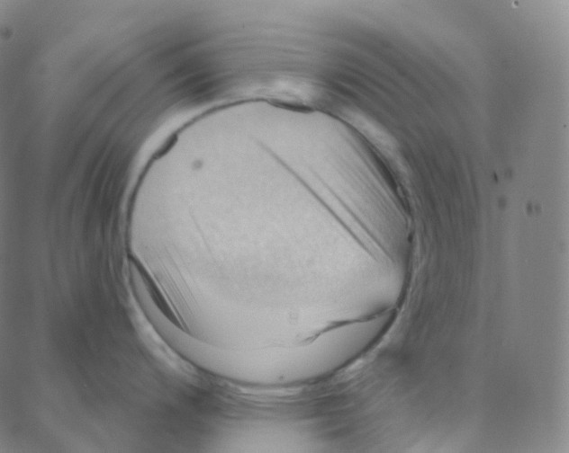 X0000088381200200706191300