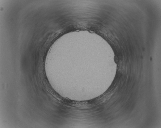 X0000088381201200706191259