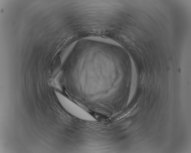 X0000088381202200706191259