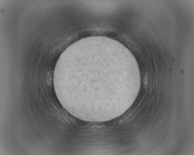 X0000088381204200706191259