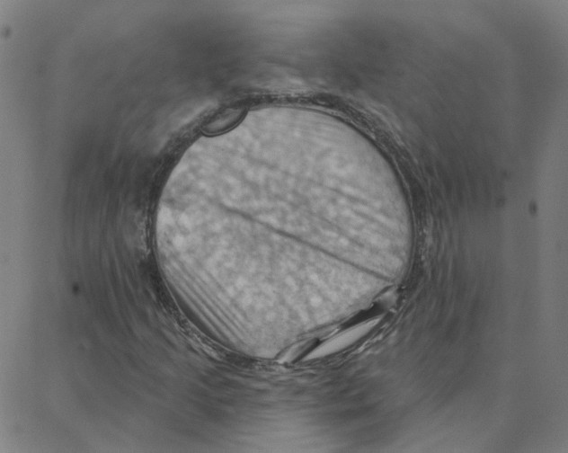 X0000088381205200706191259