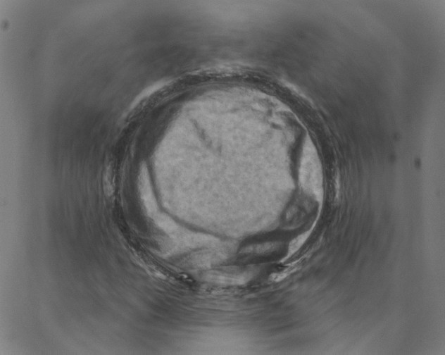 X0000088381206200706191259