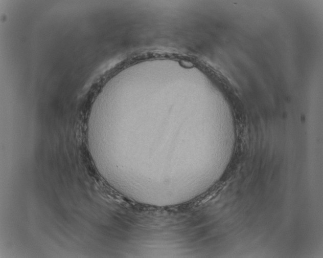 X0000088381207200706191259