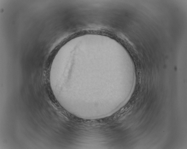 X0000088381208200706191259