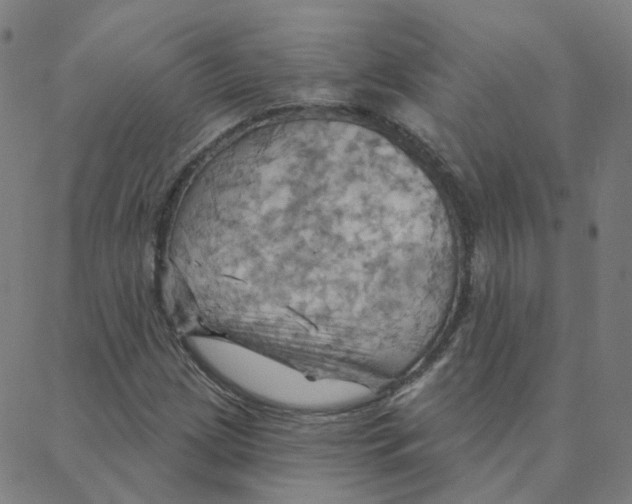 X0000088381209200706191259