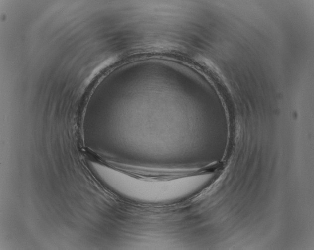 X0000088381210200706191259