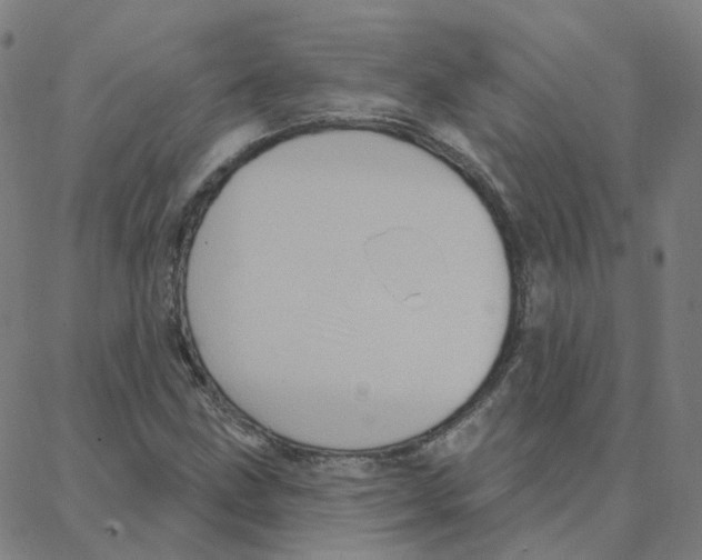 X0000088381211200706191259