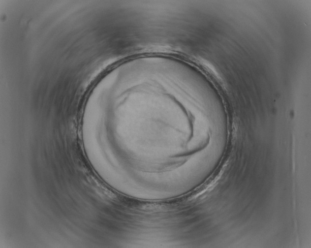 X0000088381212200706191259