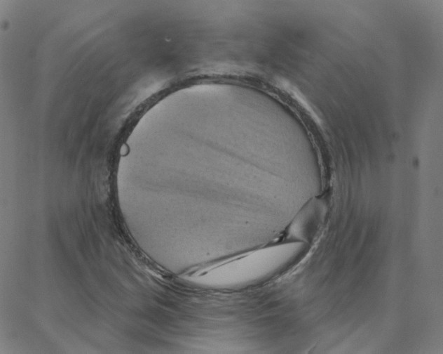 X0000088381213200706191259