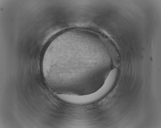 X0000088381214200706191259