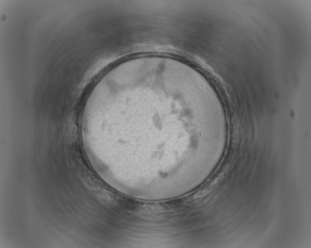 X0000088381215200706191259