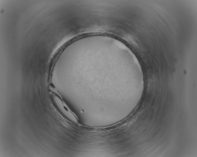 X0000088381216200706191259