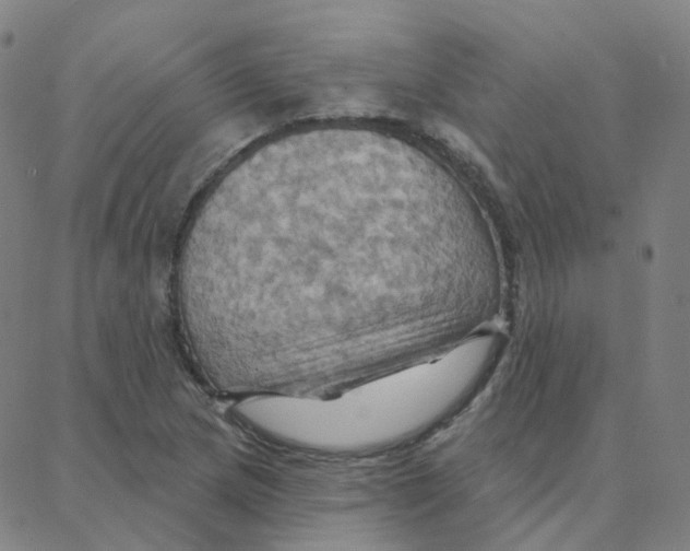 X0000088381217200706191259