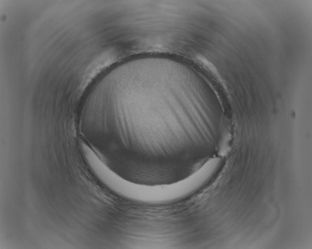 X0000088381218200706191259