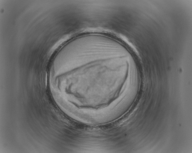 X0000088381221200706191300