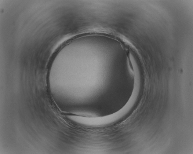 X0000088381222200706191300