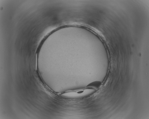 X0000088381223200706191300