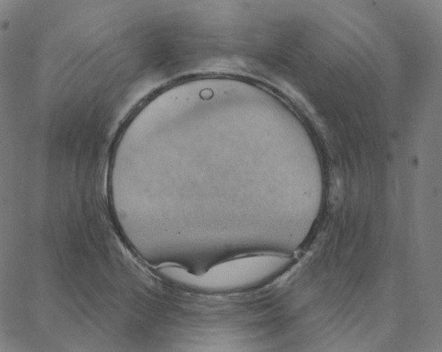 X0000088381224200706191300