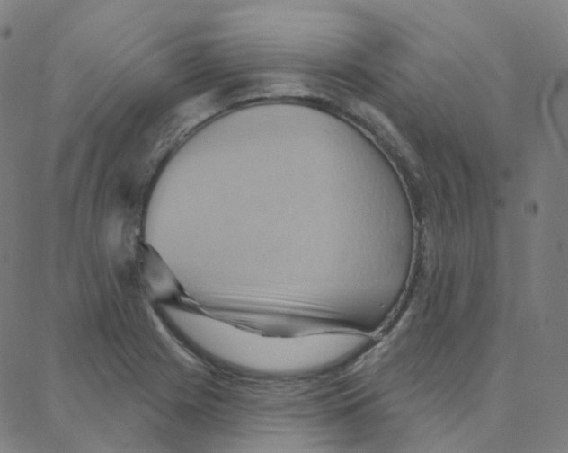 X0000088381225200706191300