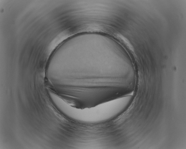 X0000088381226200706191300