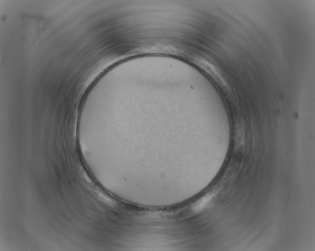 X0000088381228200706191300