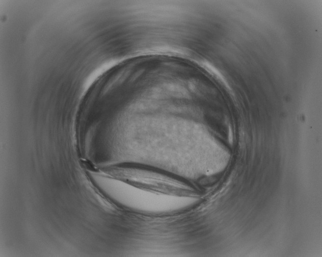 X0000088381230200706191300