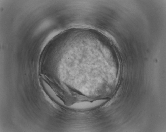 X0000088381231200706191300