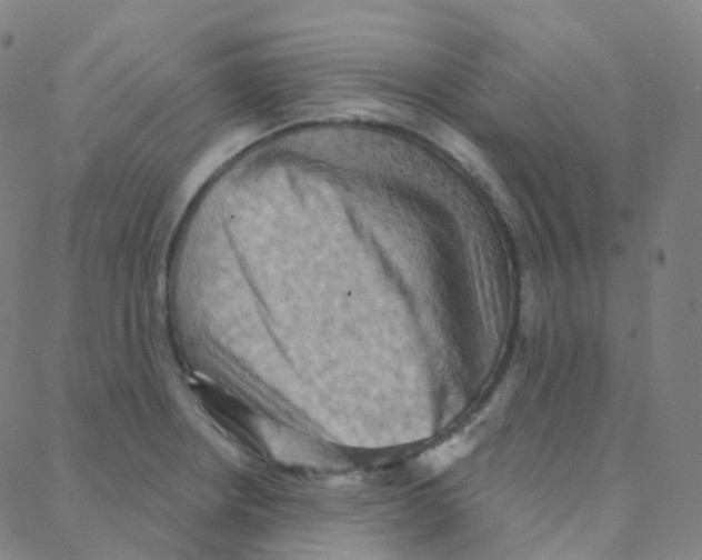 X0000088381234200706191300