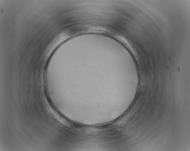 X0000088381235200706191300