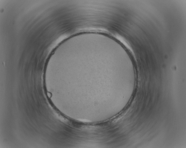 X0000088381237200706191300