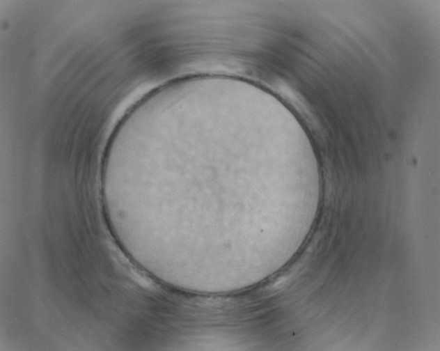 X0000088381240200706191300