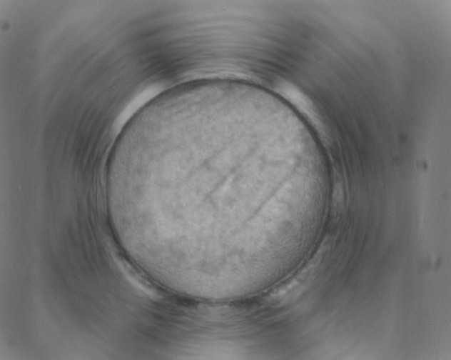 X0000088381242200706191300