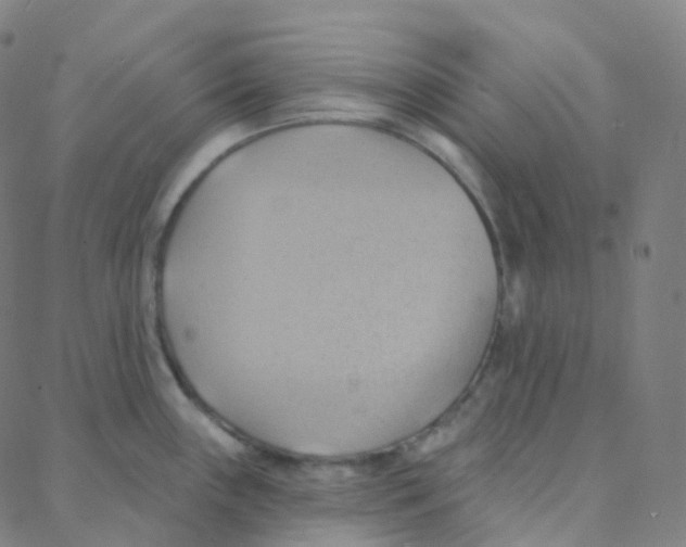 X0000088381243200706191300