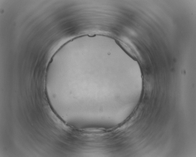 X0000088381244200706191300