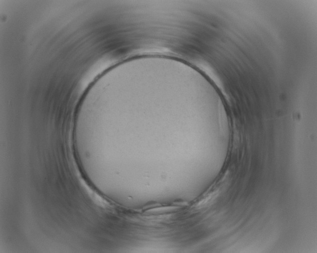 X0000088381245200706191300