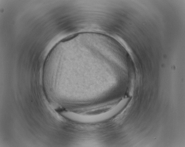 X0000088381246200706191300