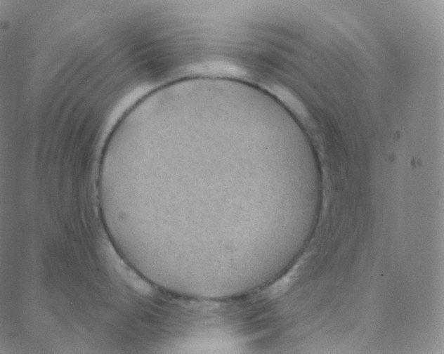 X0000088381248200706191300