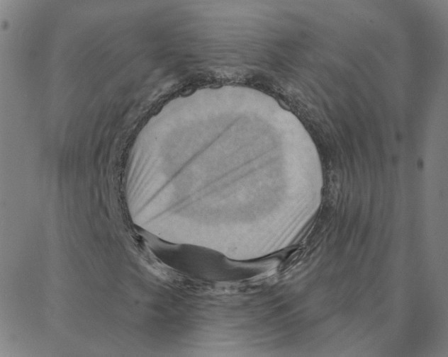 X0000088381249200706191259