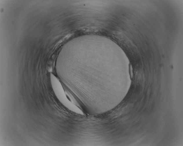 X0000088381250200706191259