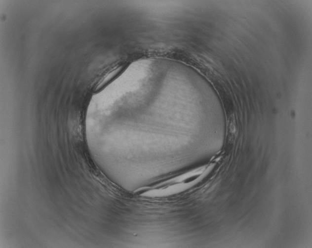 X0000088381252200706191259