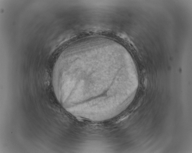 X0000088381253200706191259